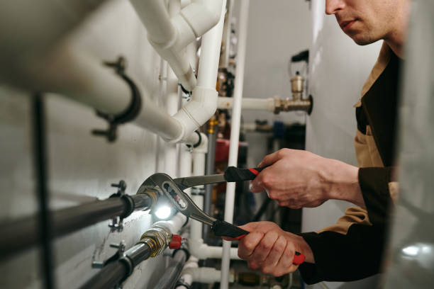 Best Best Plumbers Near Me  in Bass Lake, IN