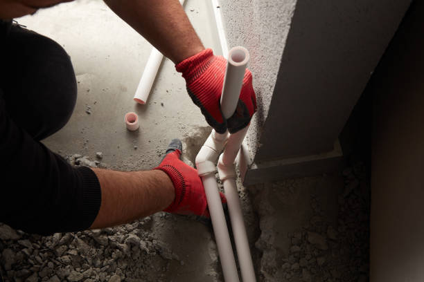 Best Local Plumber Services  in Bass Lake, IN