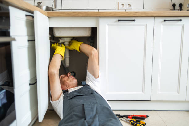 Best Drain Cleaning Services  in Bass Lake, IN